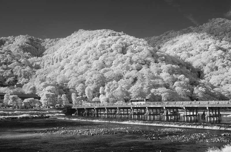 嵐山　雪景色　赤外線写真
infrared-photography
